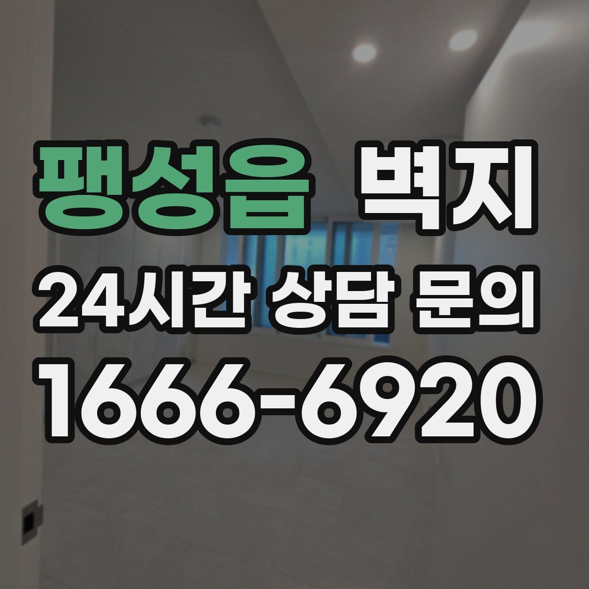 팽성읍 벽지