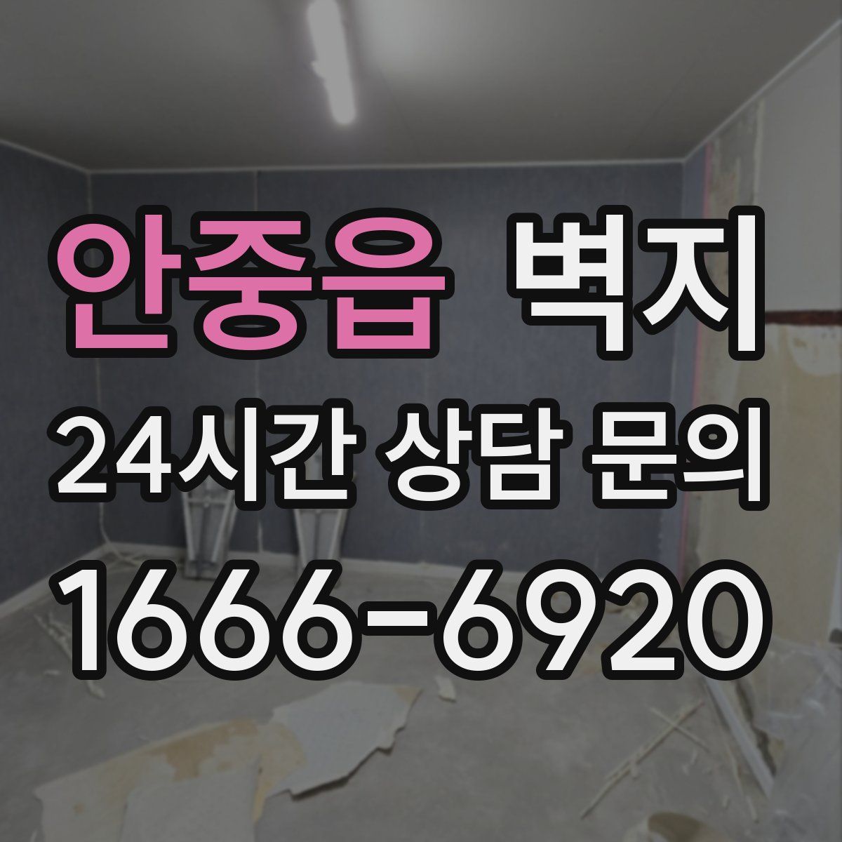 안중읍 벽지