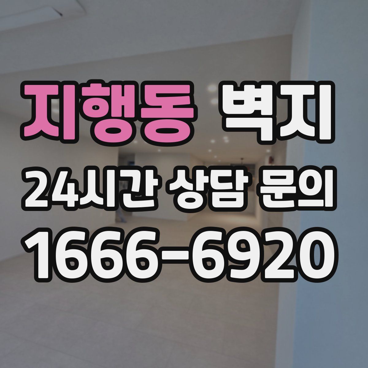 지행동 벽지
