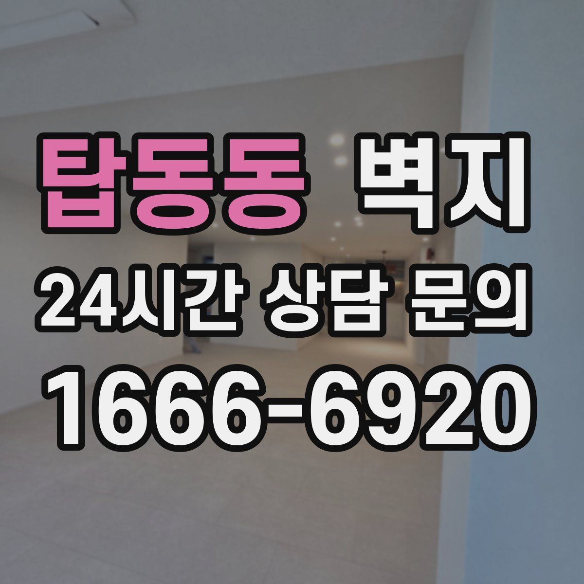 탑동동 벽지