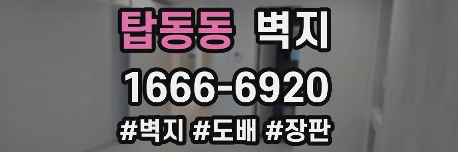 탑동동 벽지
