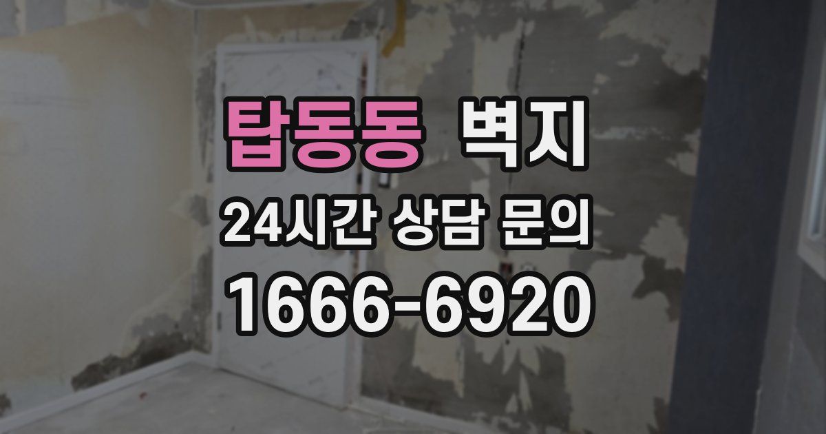 탑동동 벽지