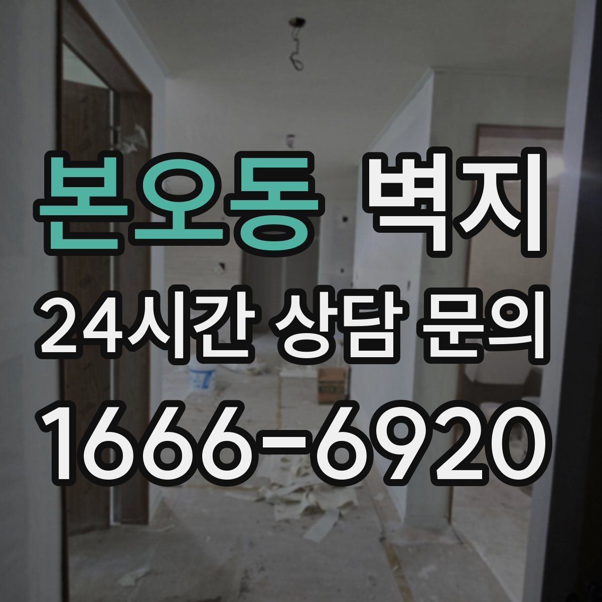 본오동 벽지