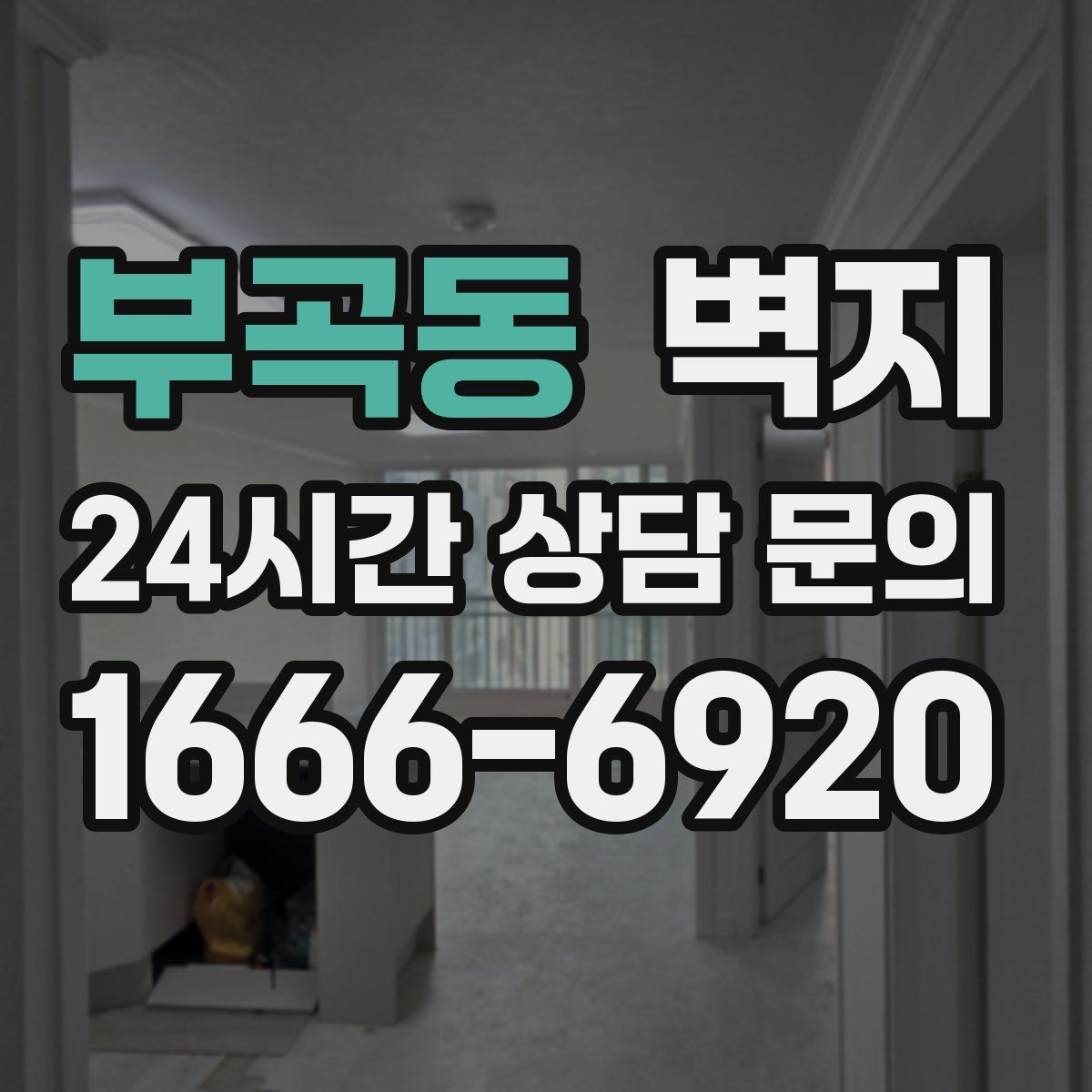 부곡동 벽지