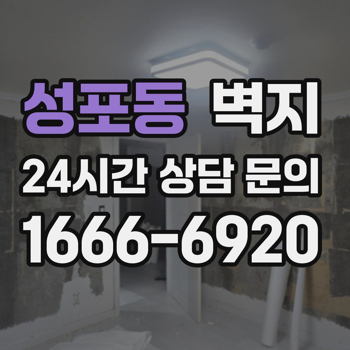 성포동 벽지