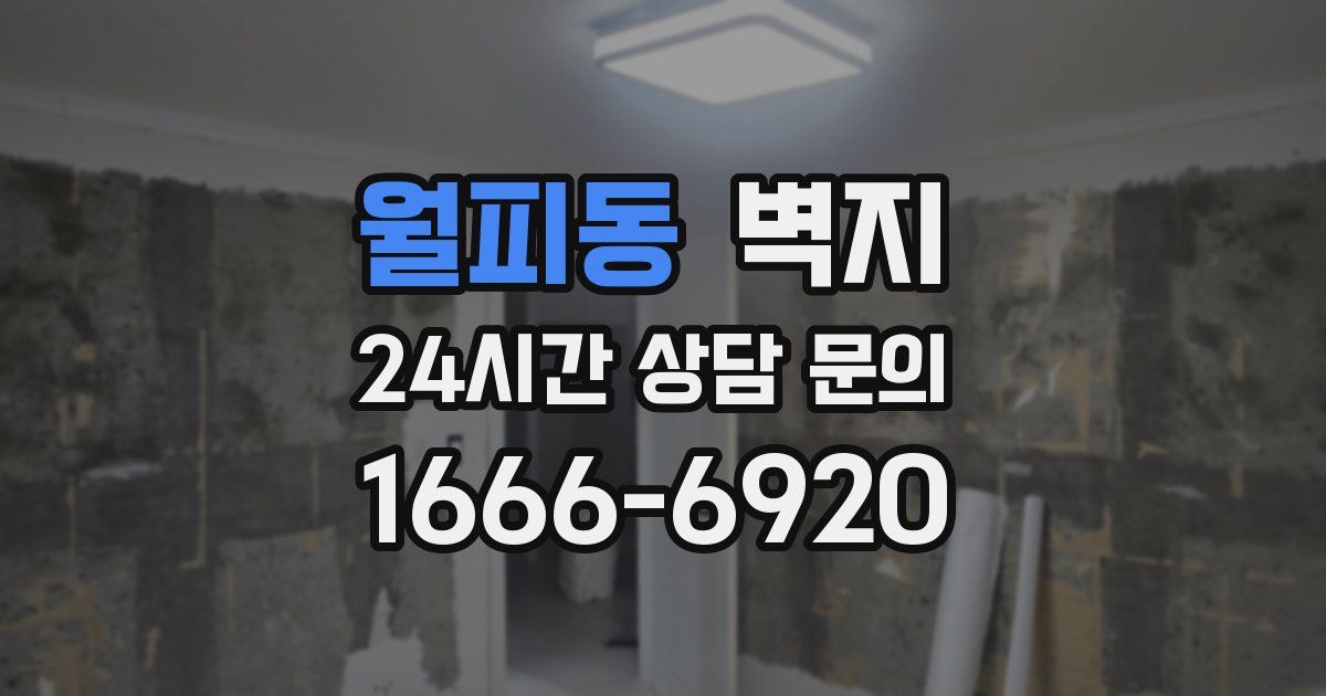 월피동 벽지