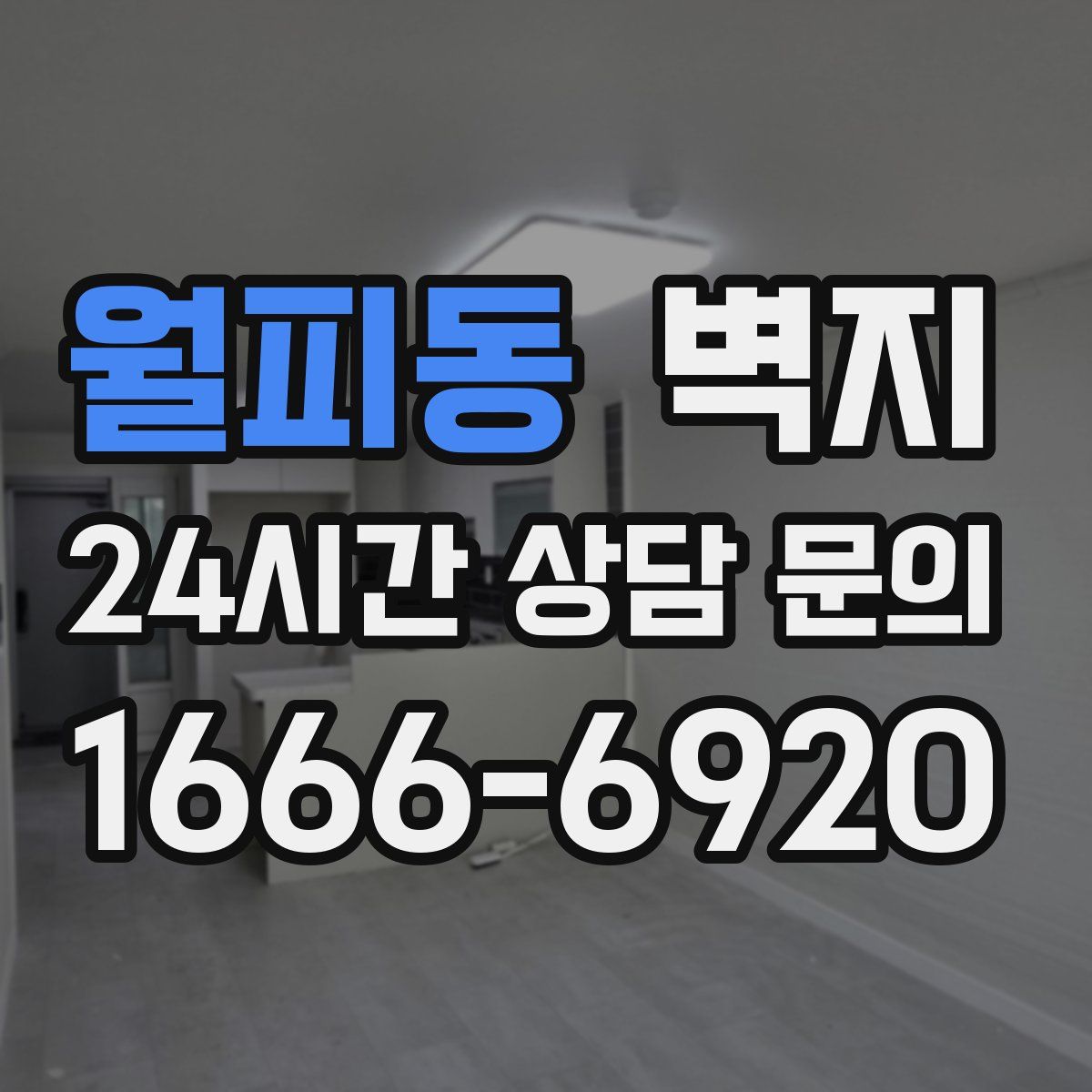 월피동 벽지
