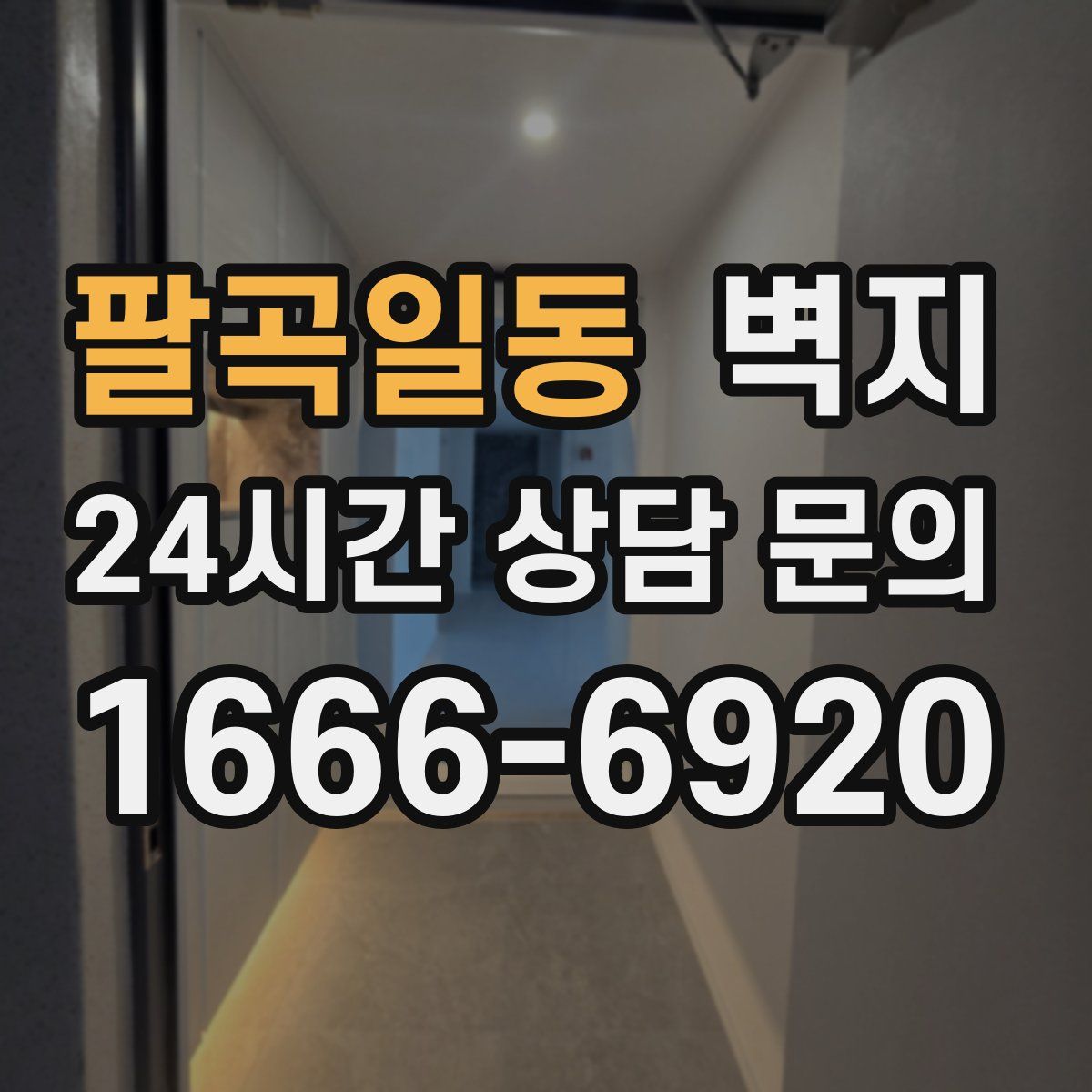 팔곡일동 벽지