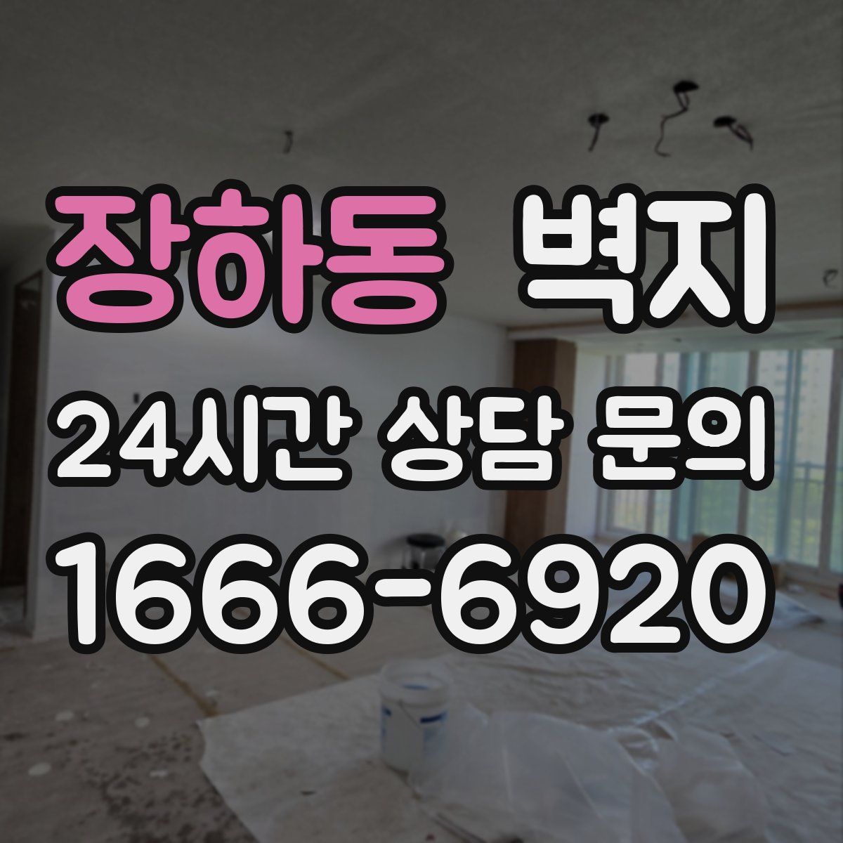 장하동 벽지