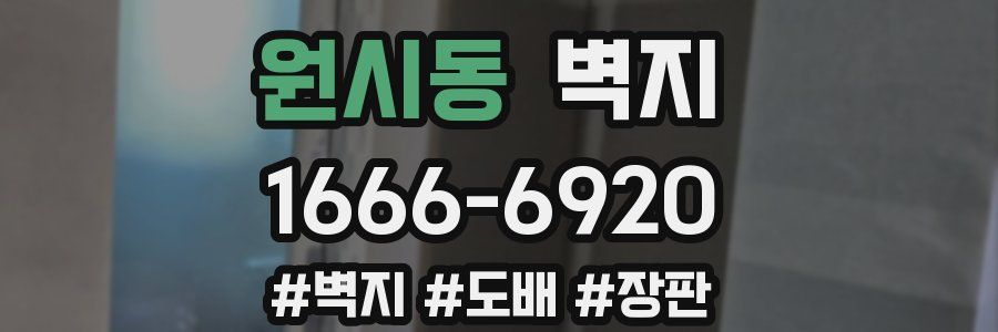 원시동 벽지
