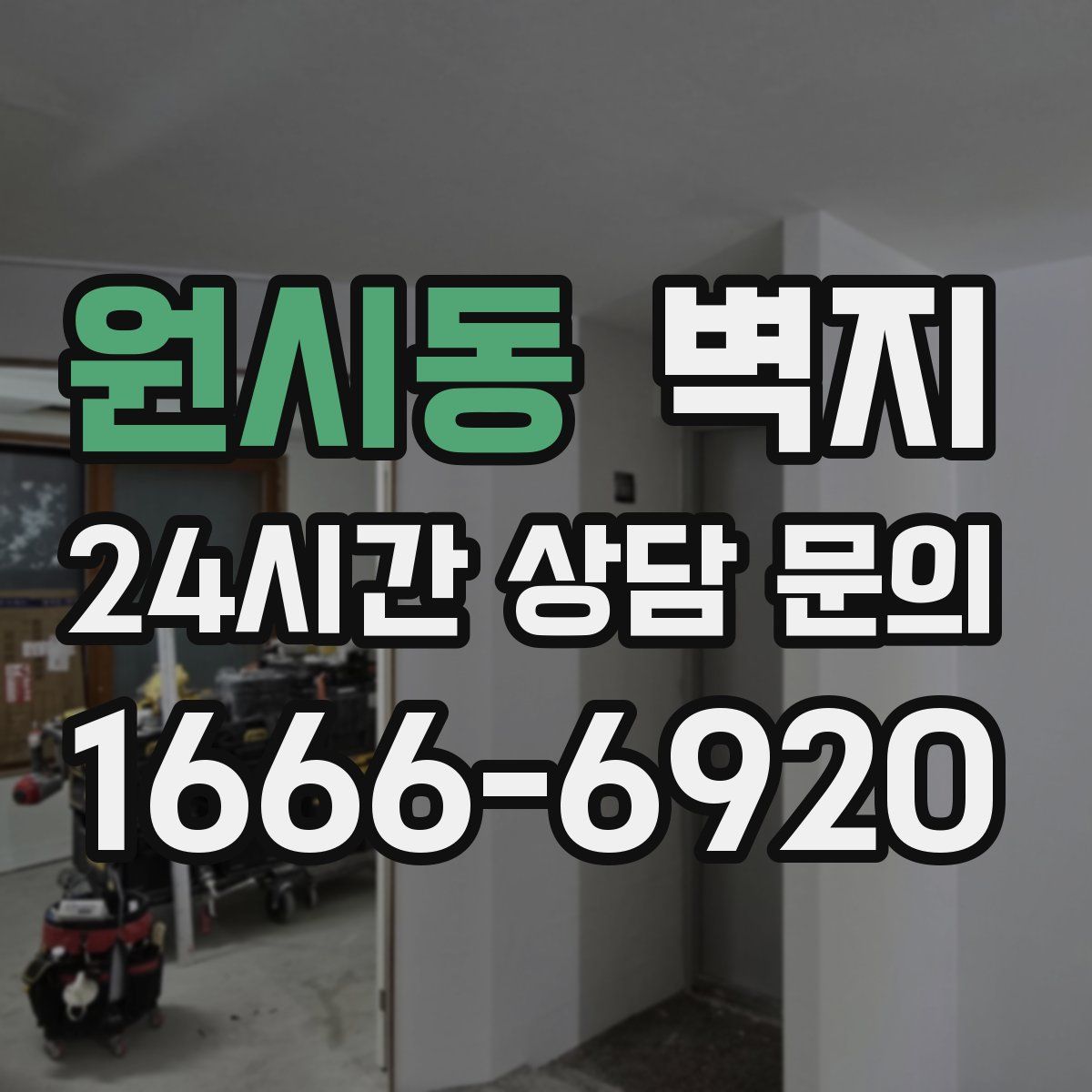 원시동 벽지