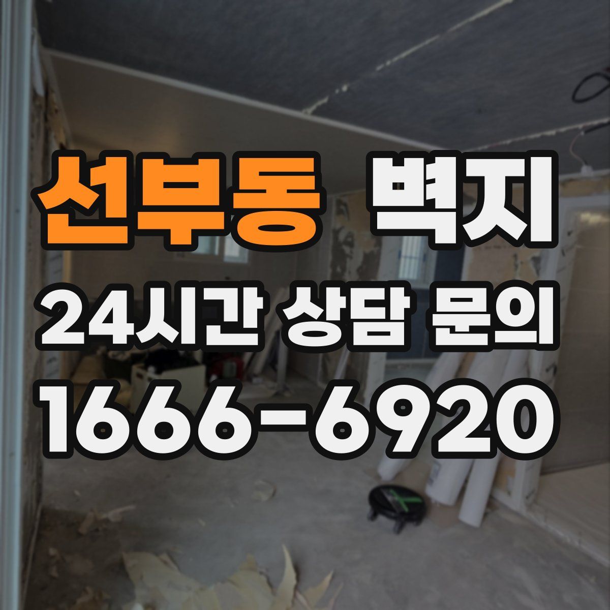 선부동 벽지