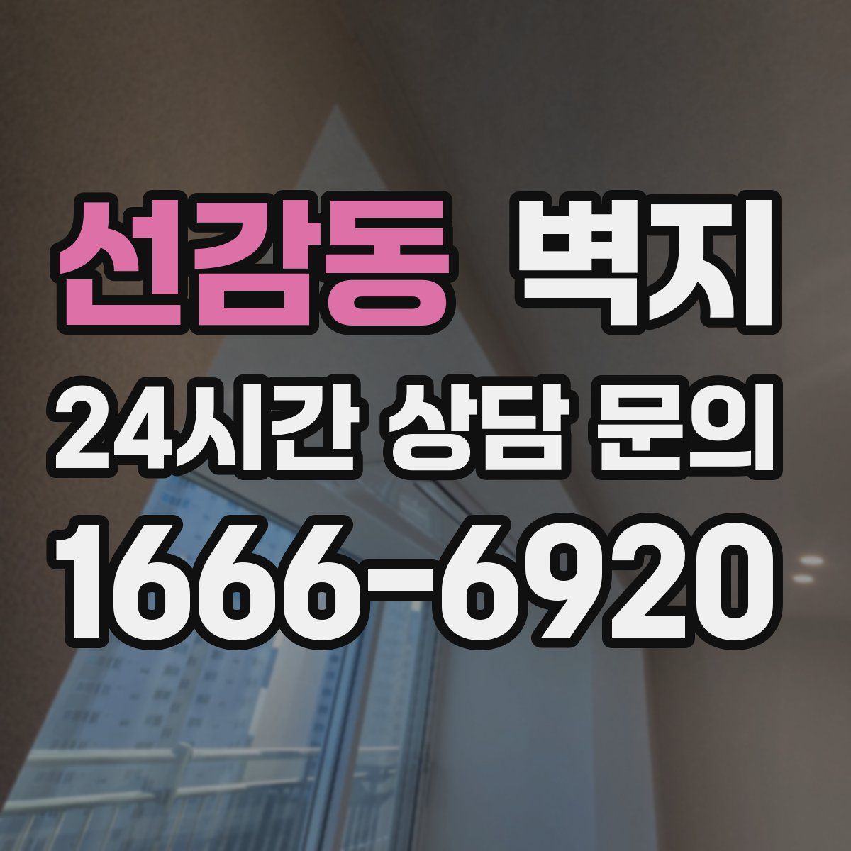 선감동 벽지