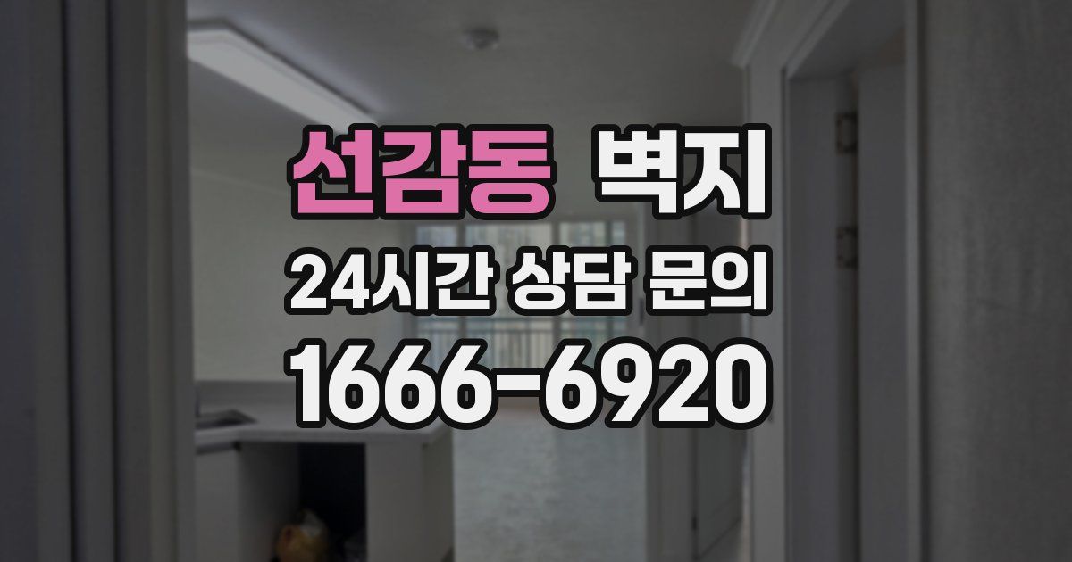 선감동 벽지