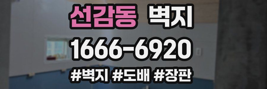 선감동 벽지
