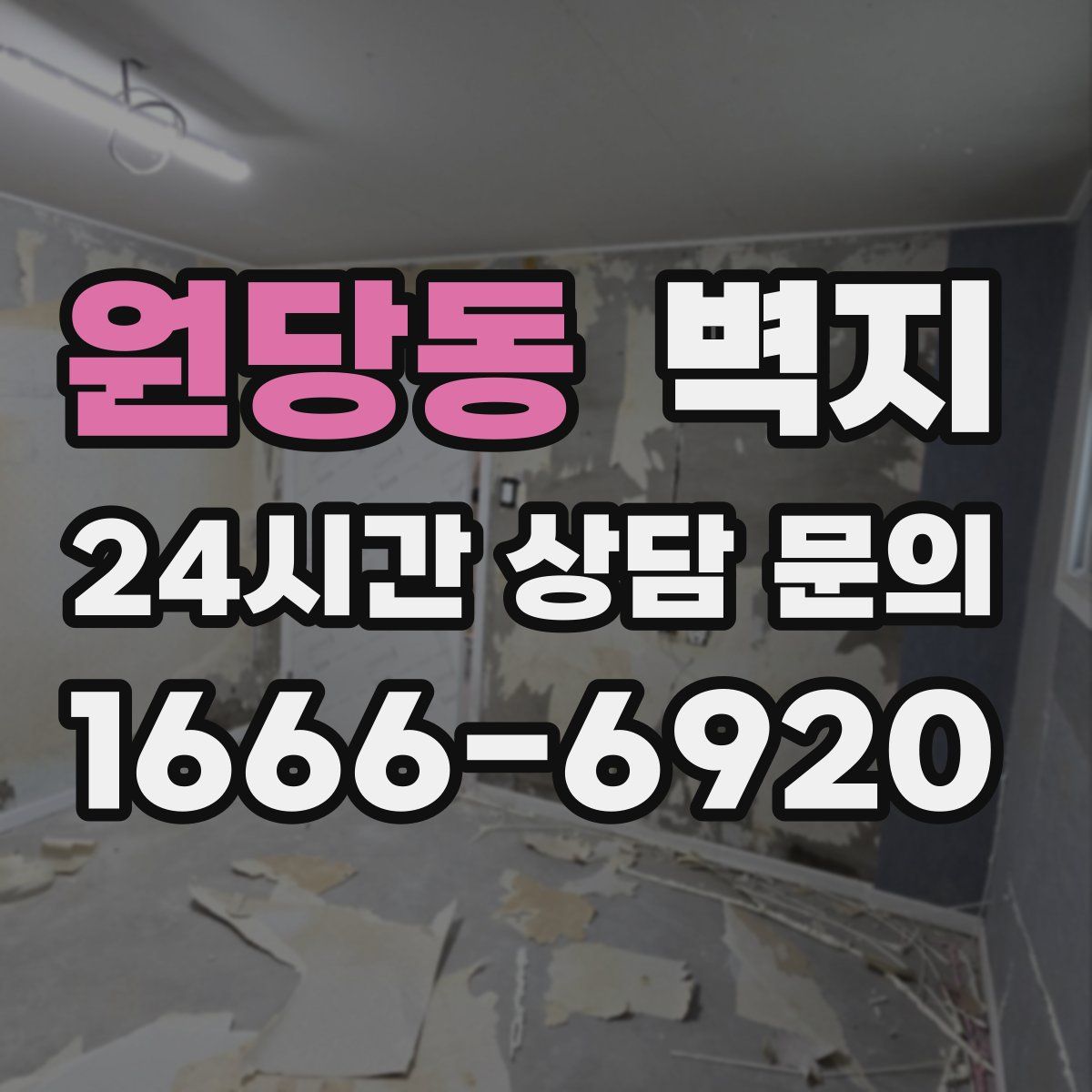 원당동 벽지