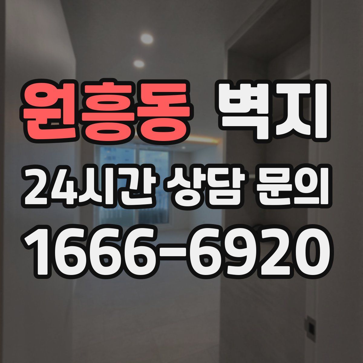 원흥동 벽지