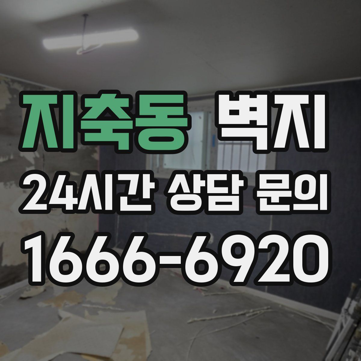 지축동 벽지