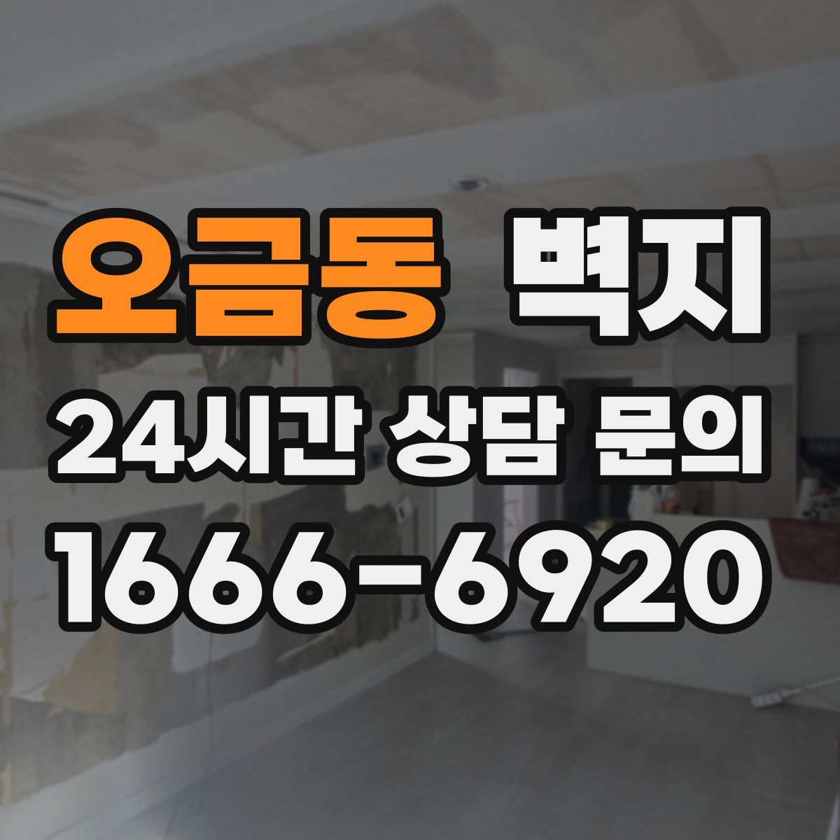 오금동 벽지