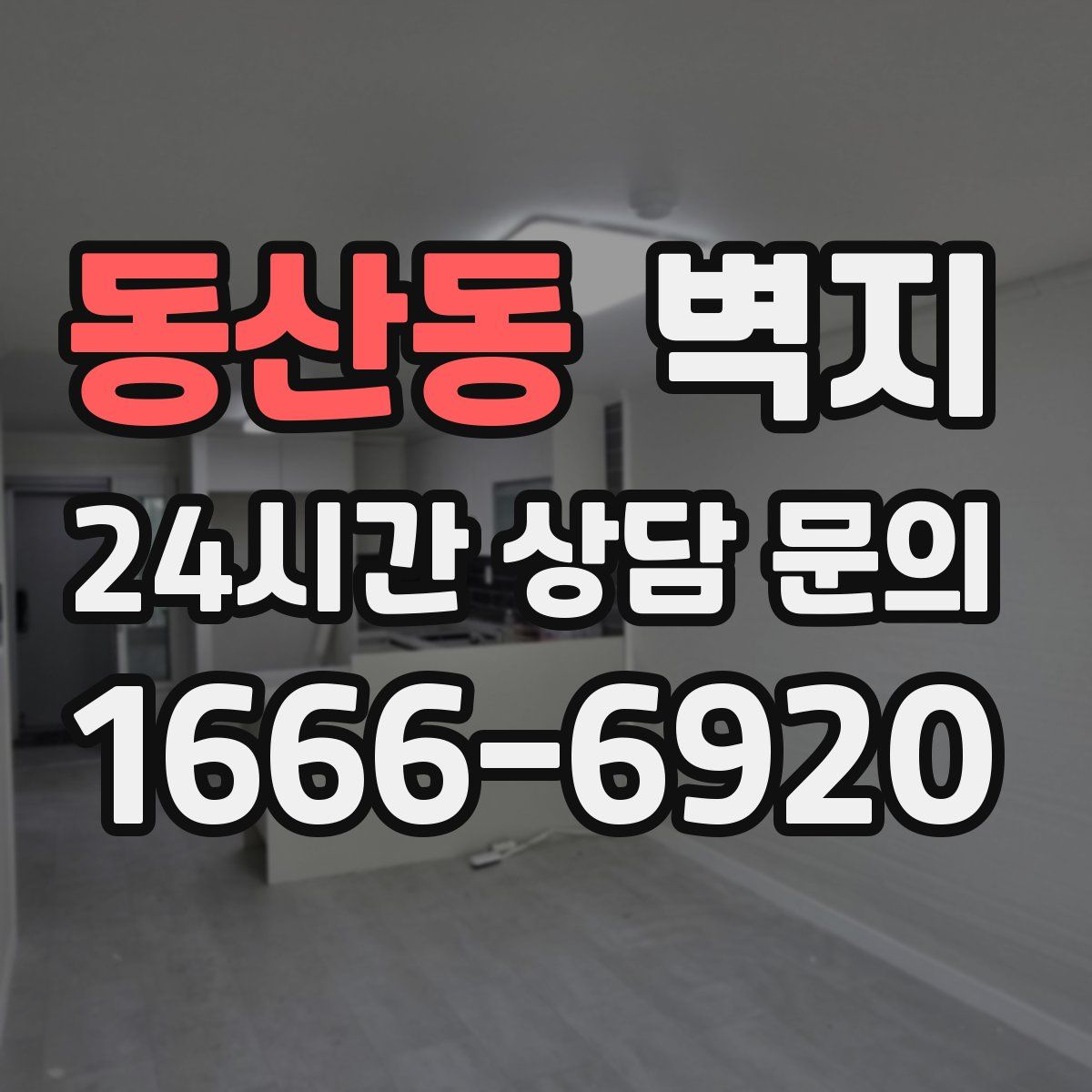 동산동 벽지