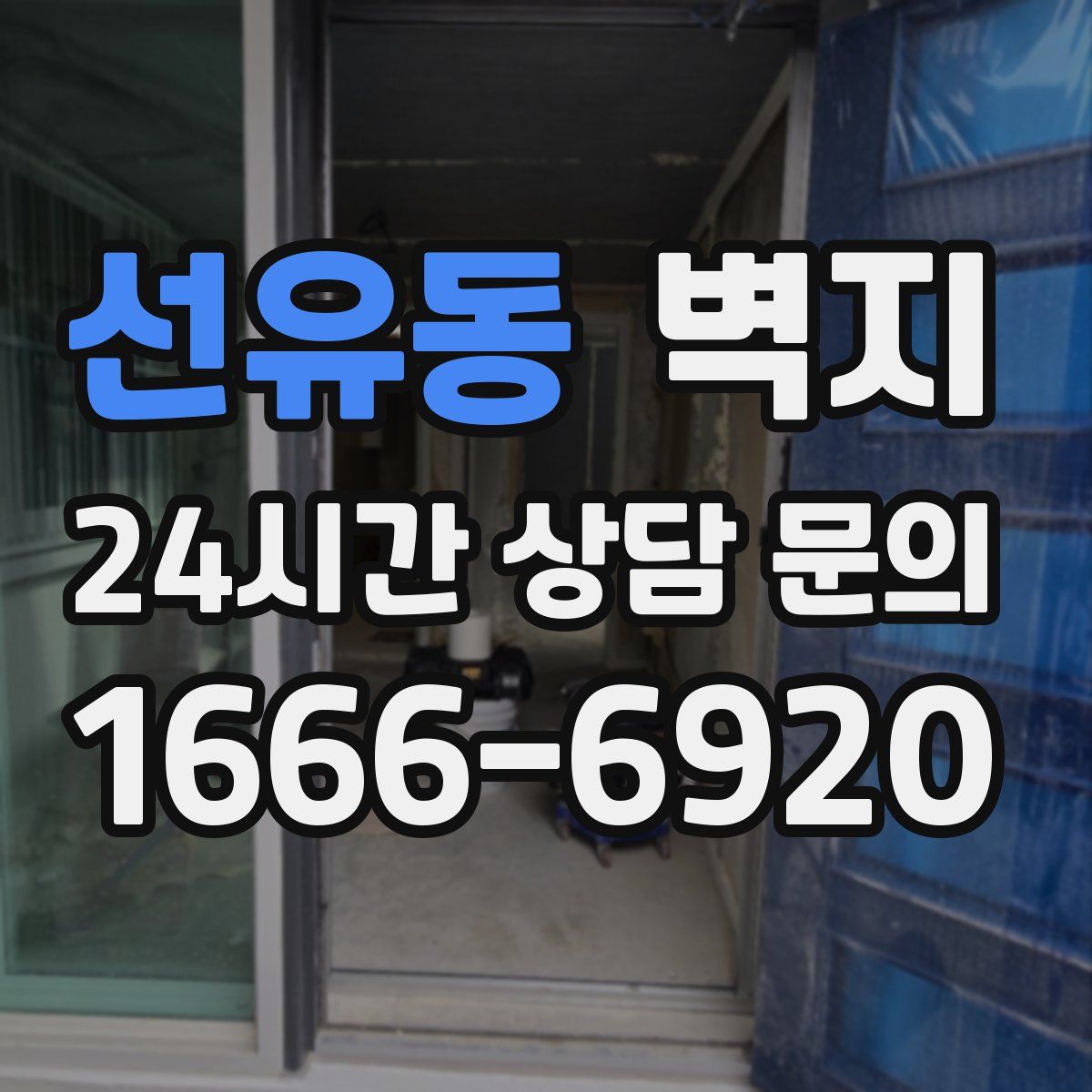선유동 벽지