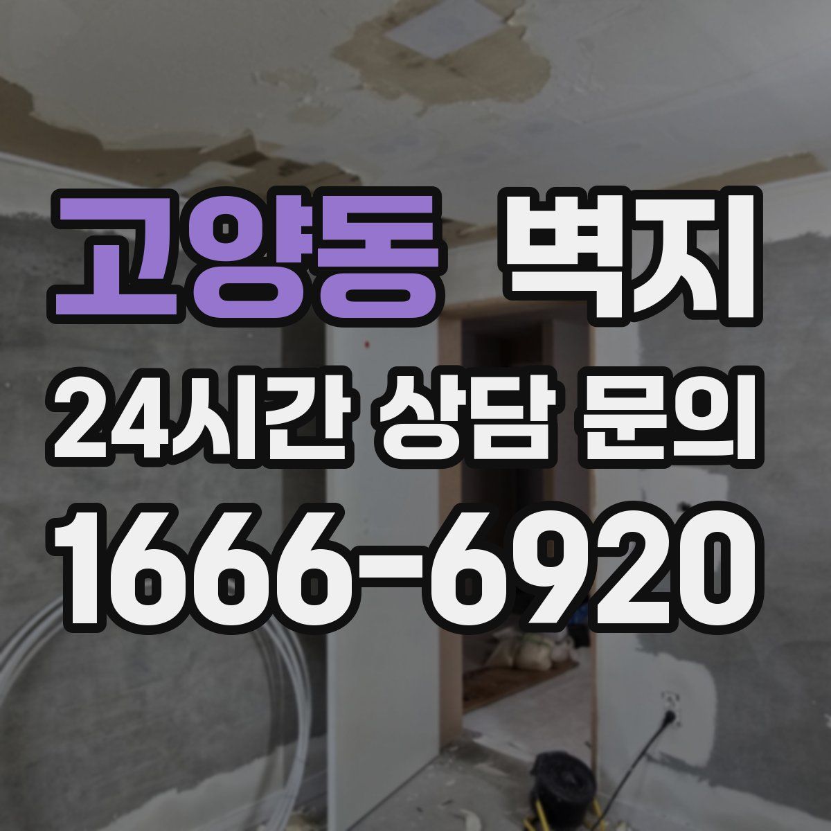 고양동 벽지