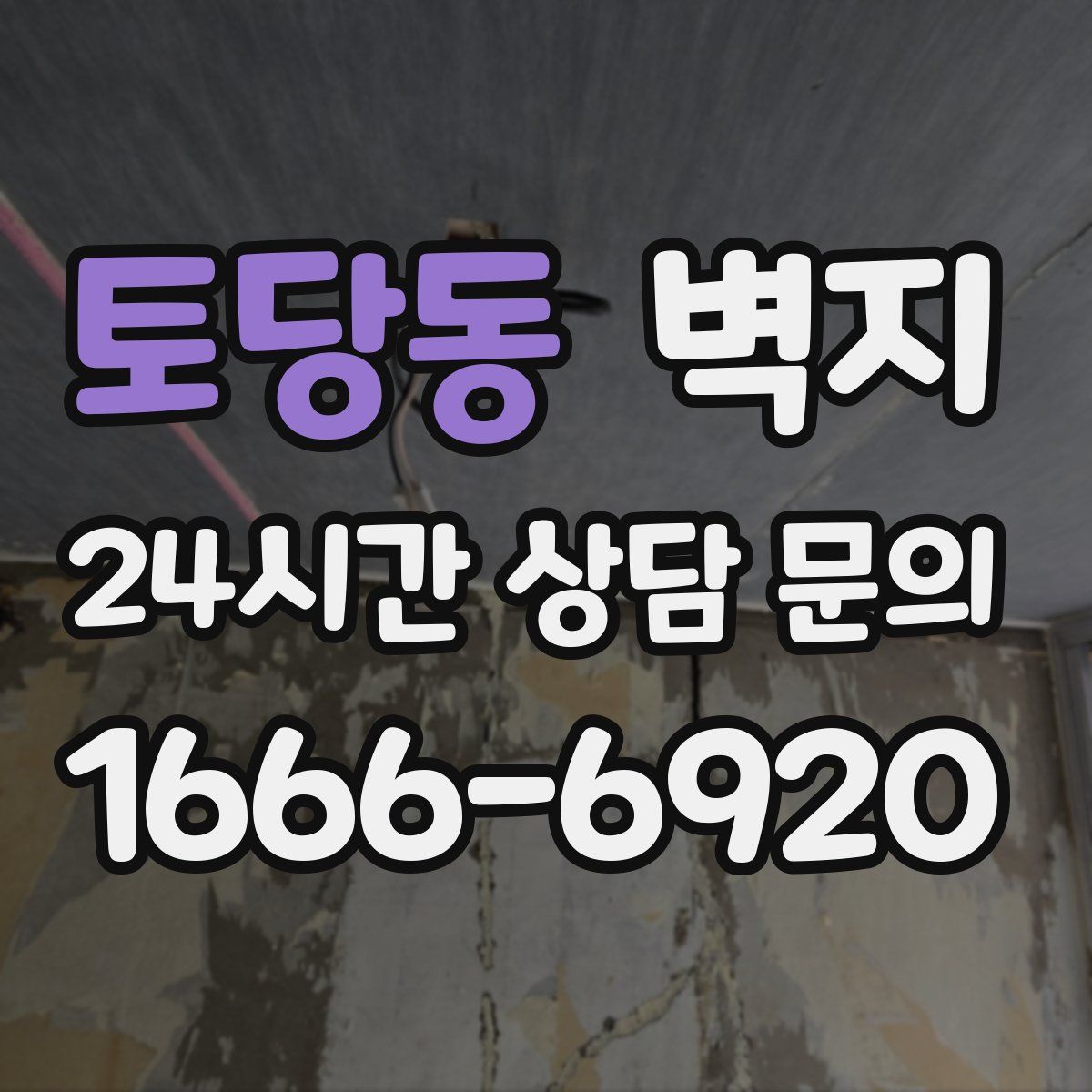 토당동 벽지
