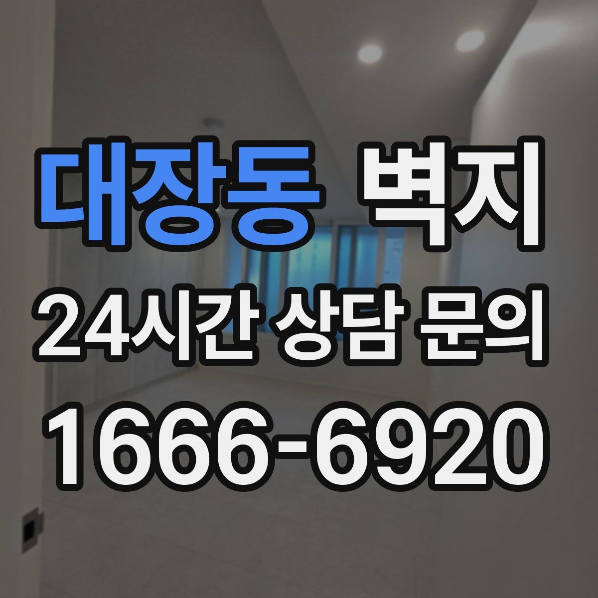대장동 벽지