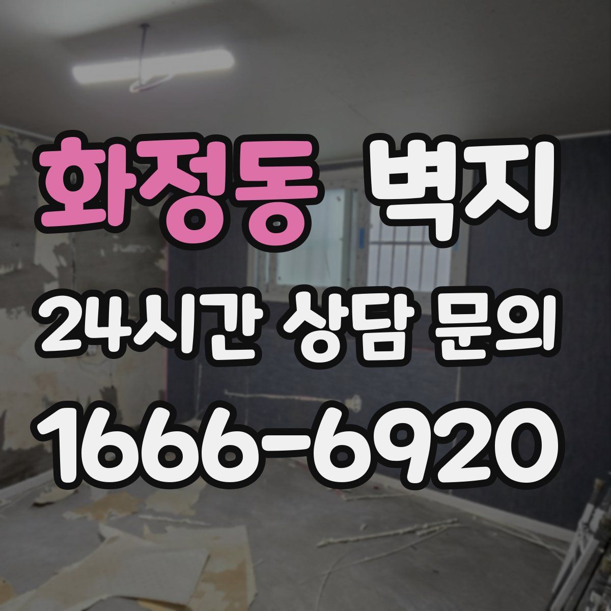 화정동 벽지