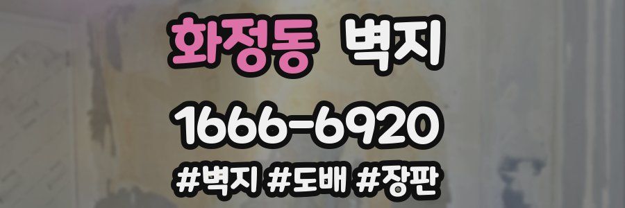 화정동 벽지