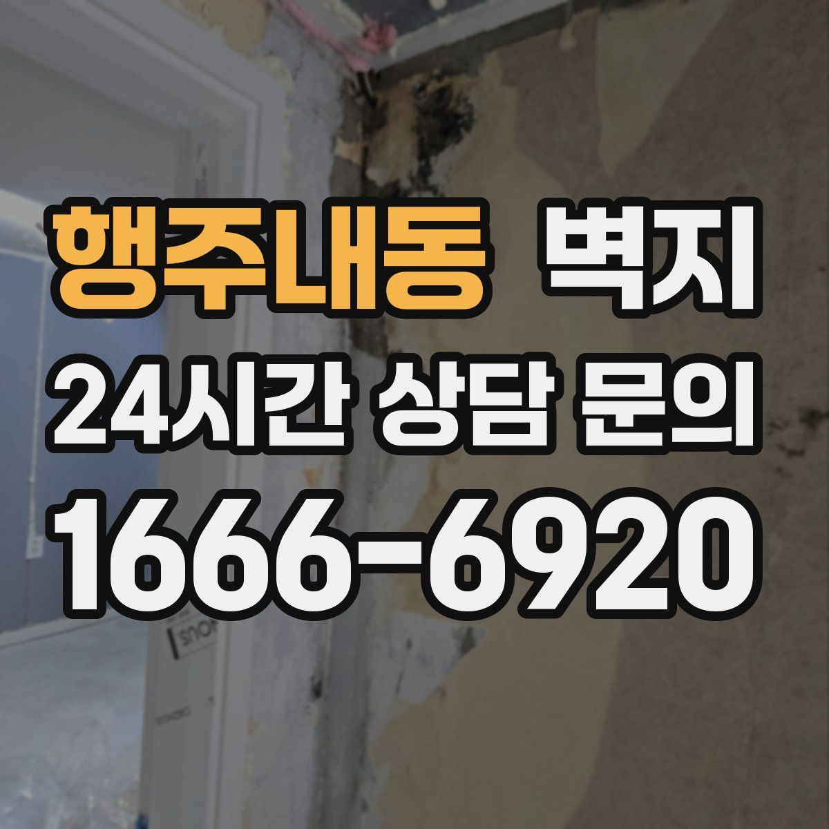 행주내동 벽지