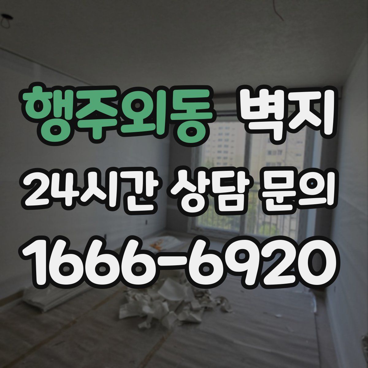 행주외동 벽지