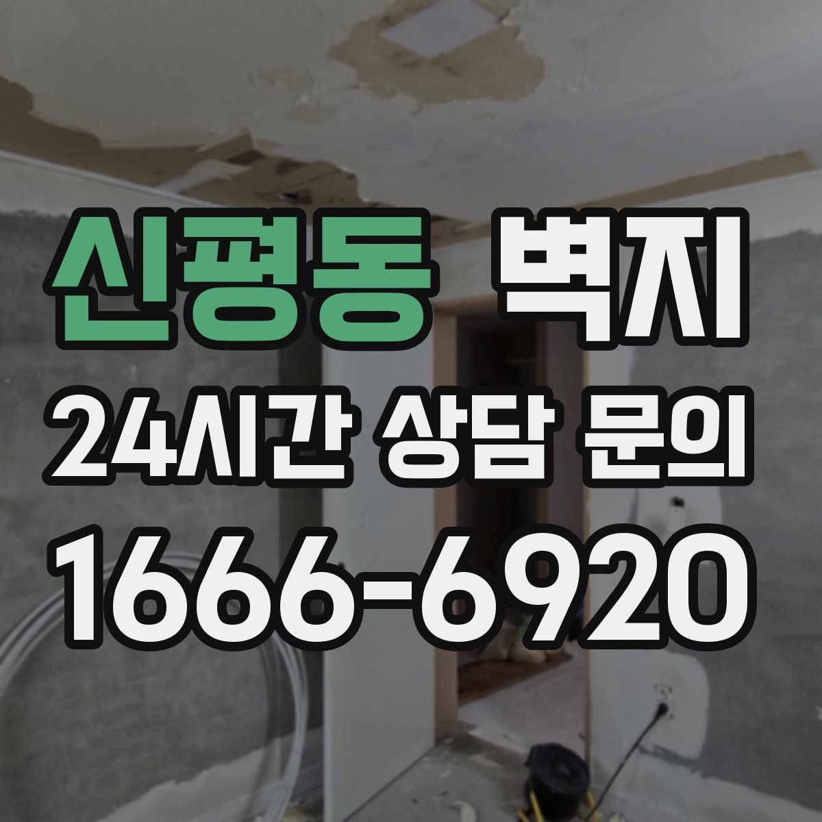 신평동 벽지