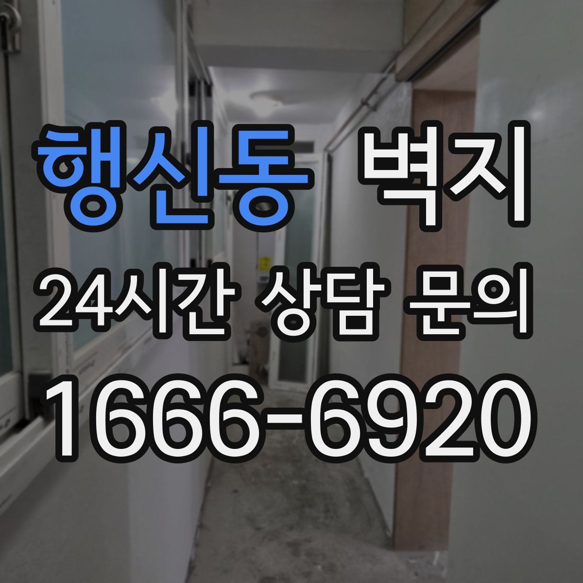 행신동 벽지