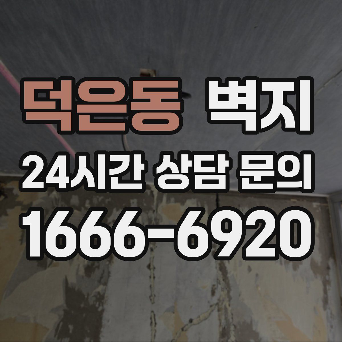 덕은동 벽지