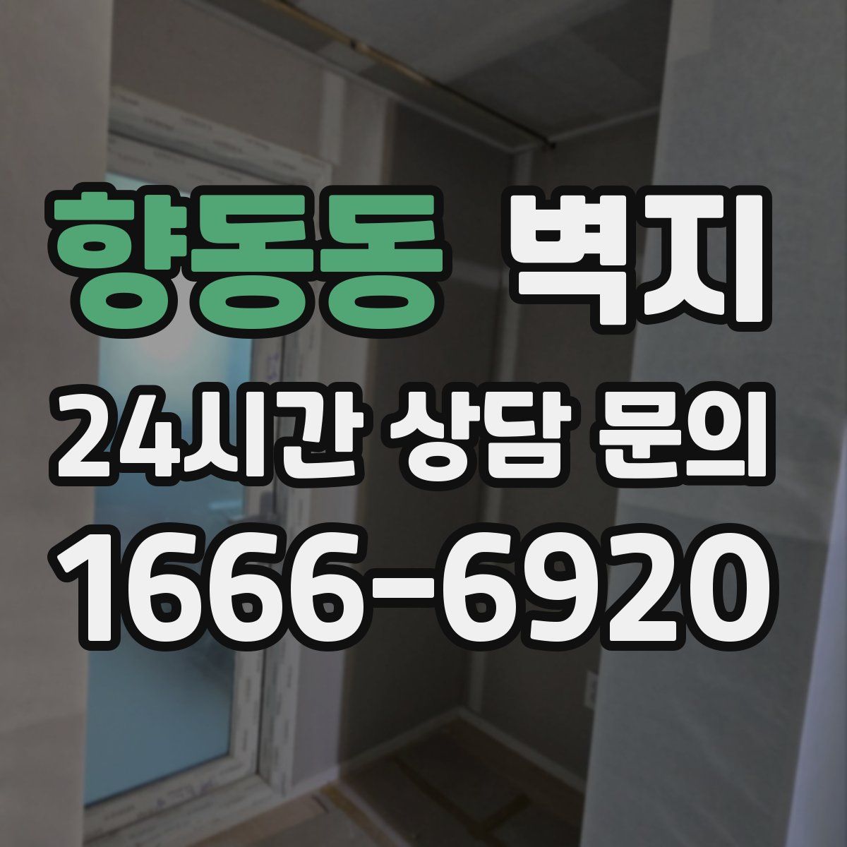 향동동 벽지