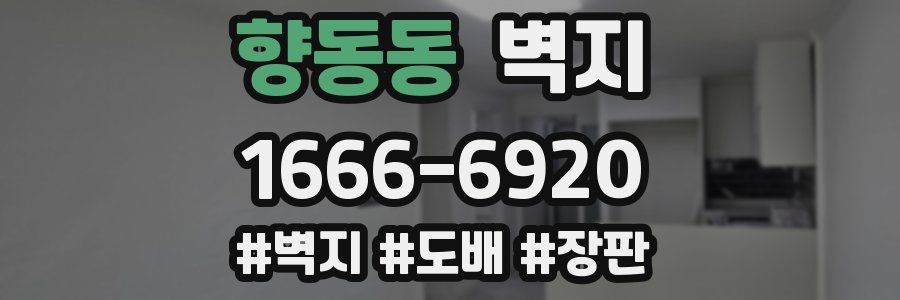 향동동 벽지