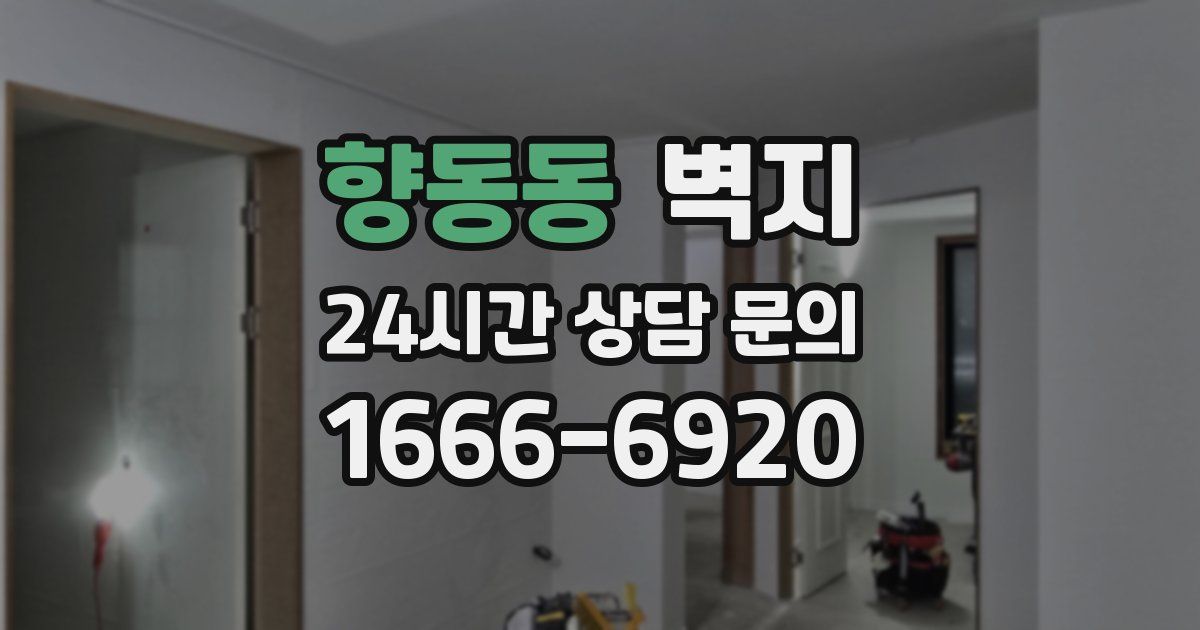 향동동 벽지