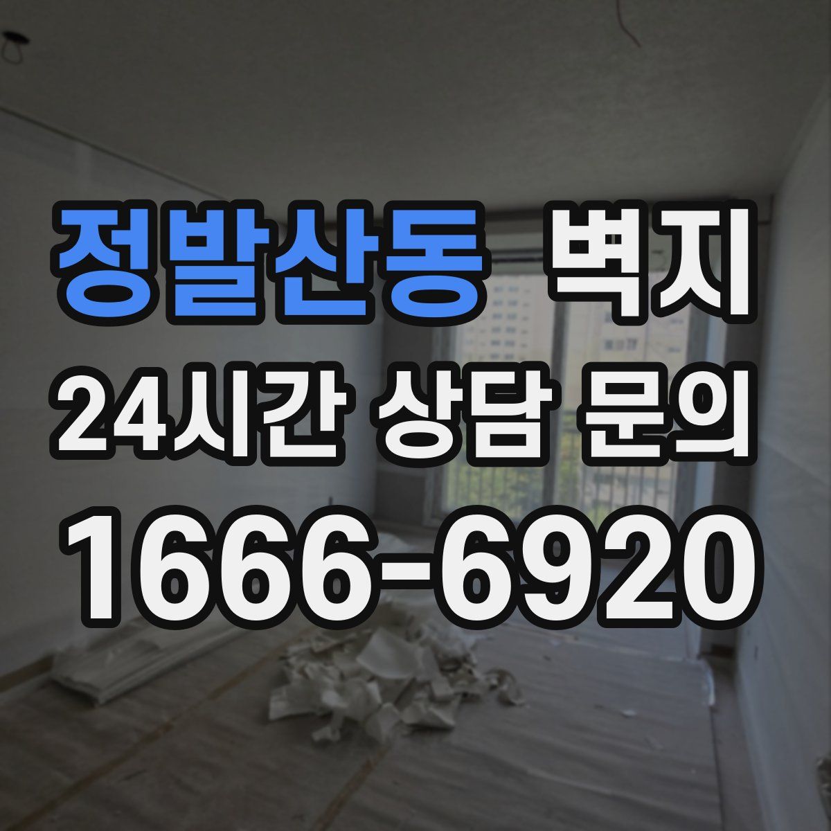 정발산동 벽지
