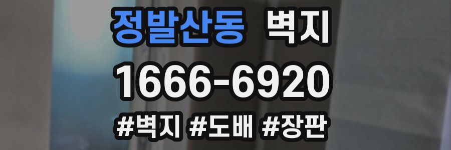 정발산동 벽지