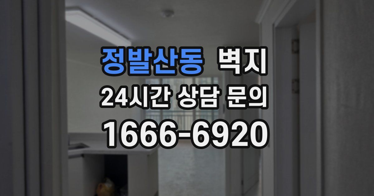 정발산동 벽지