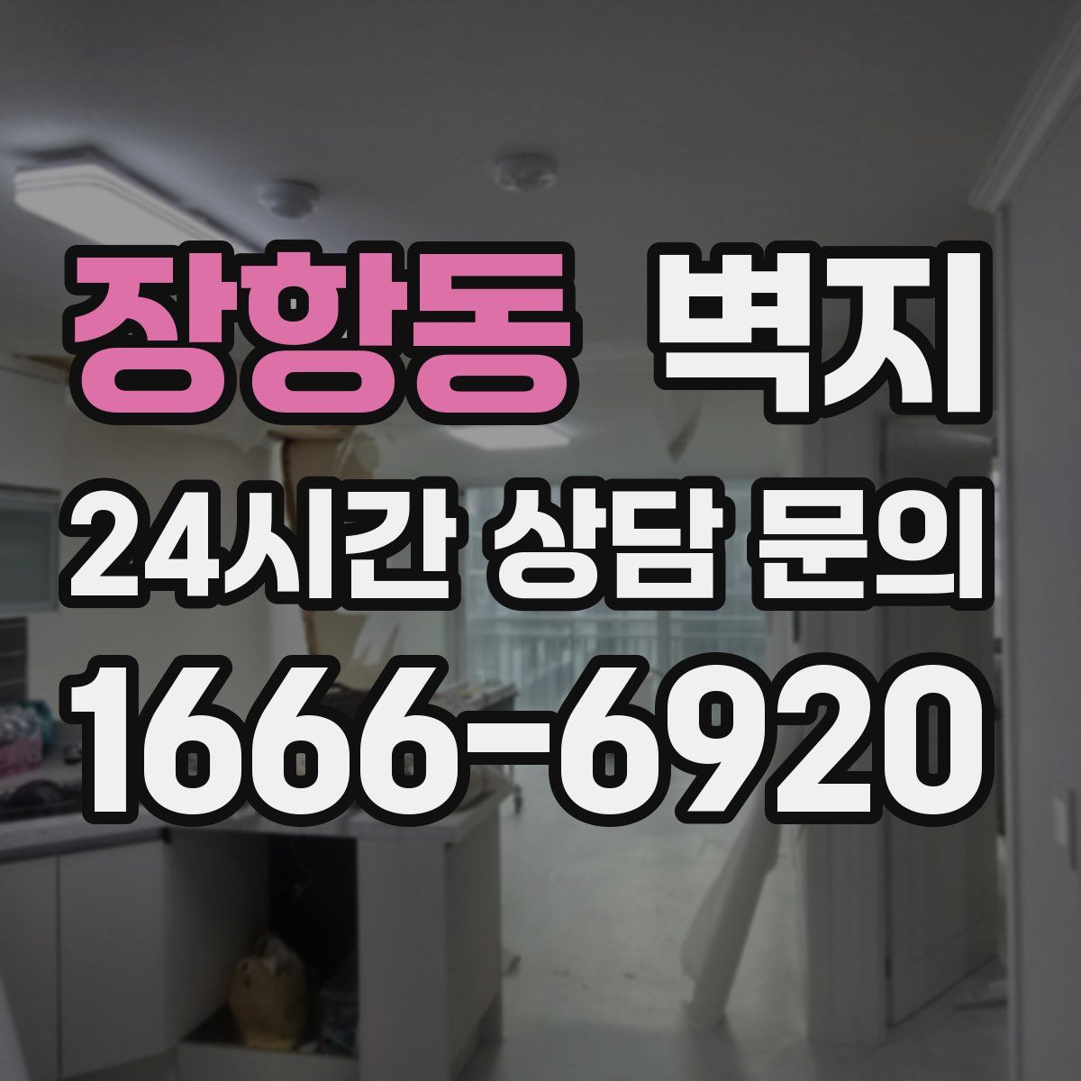 장항동 벽지