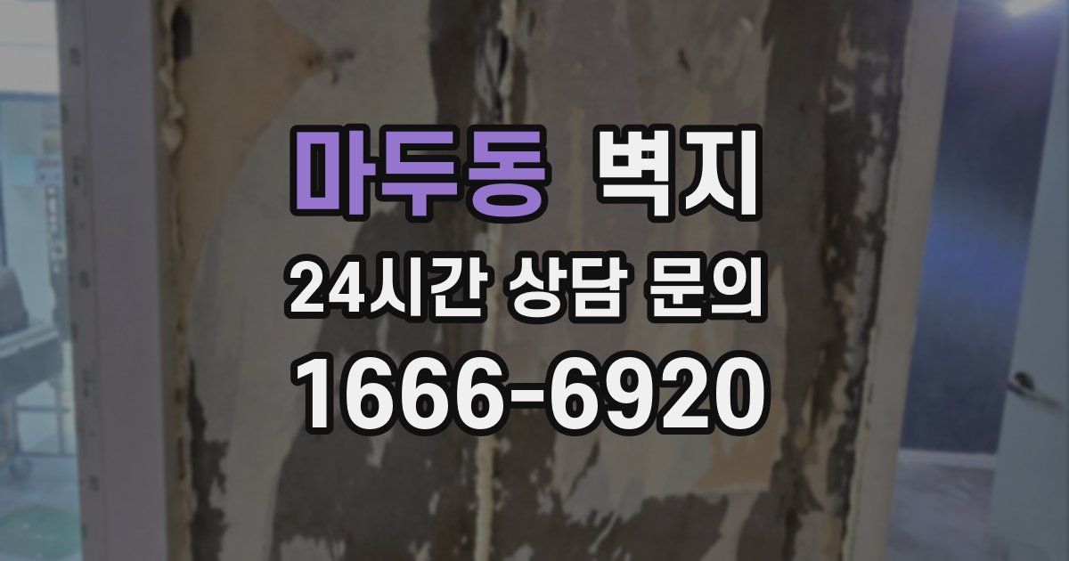 마두동 벽지