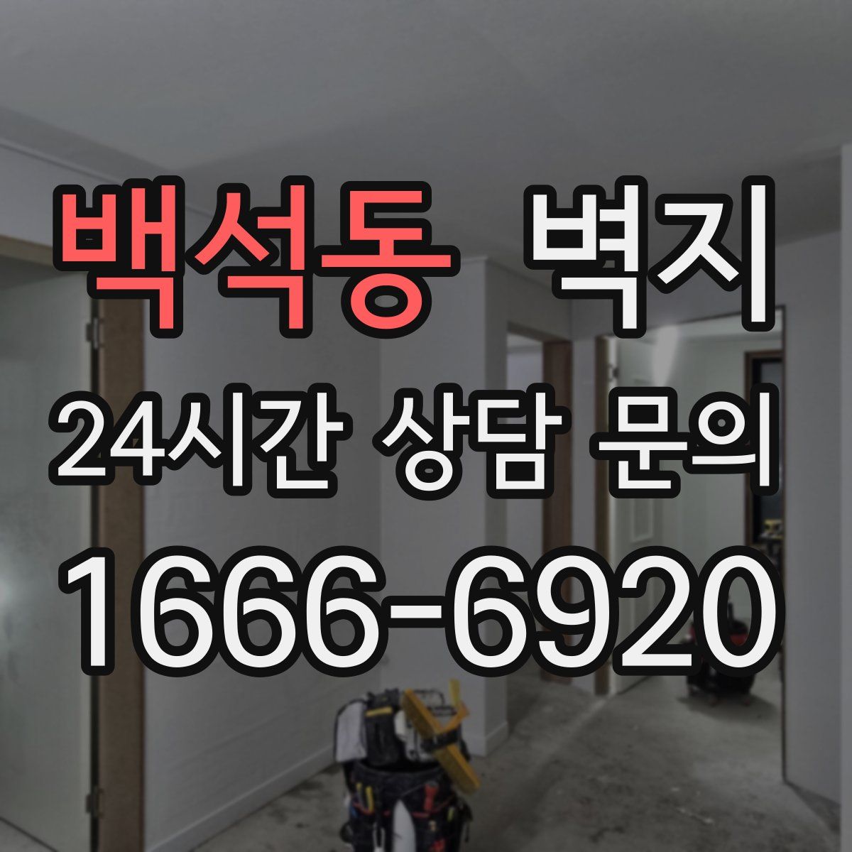 백석동 벽지