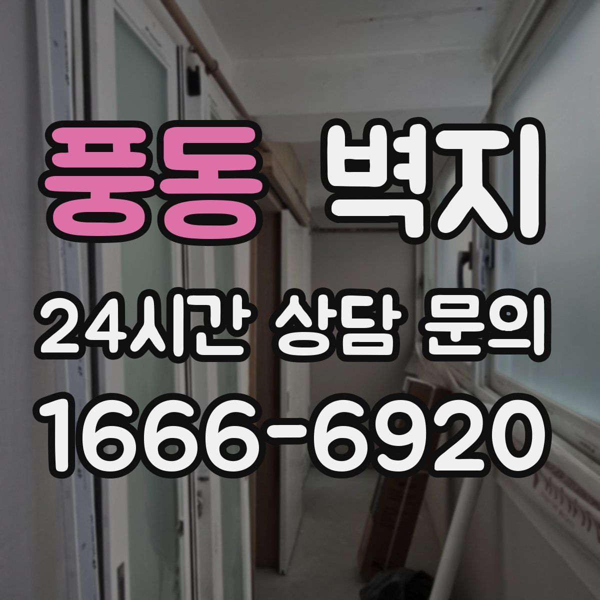 풍동 벽지