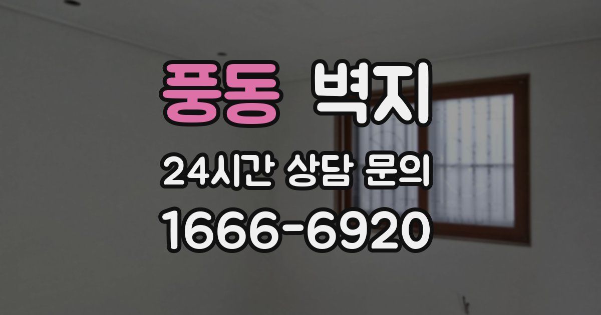 풍동 벽지