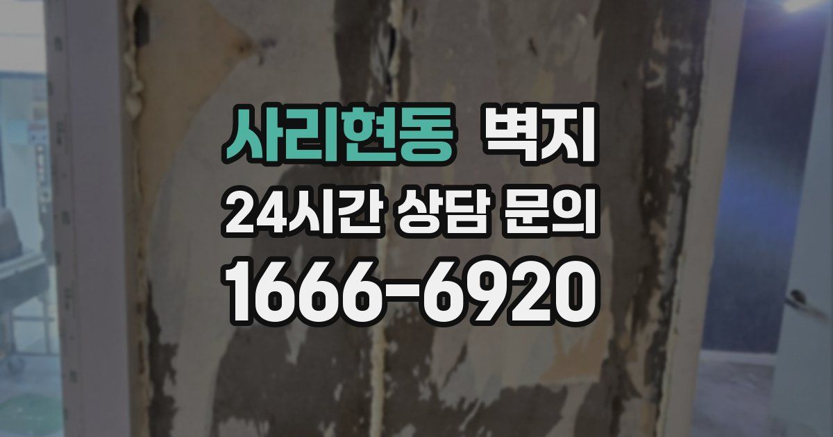 사리현동 벽지