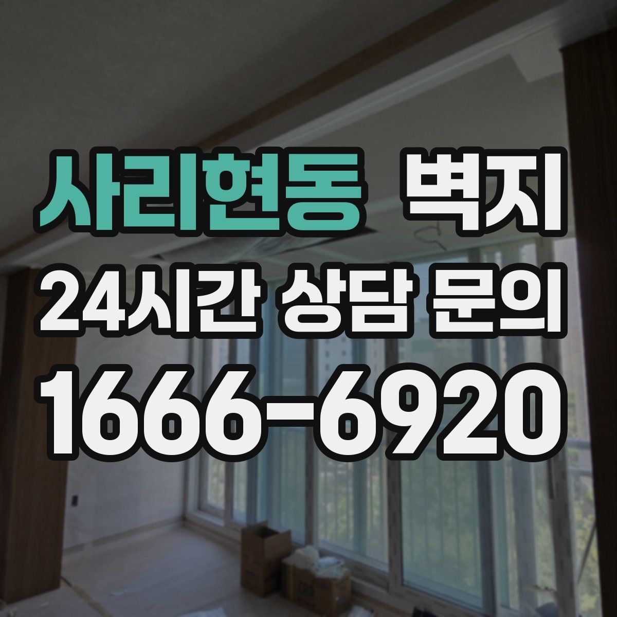 사리현동 벽지