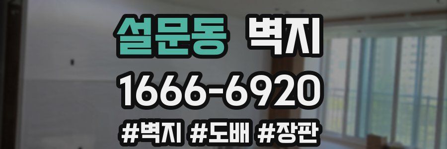 설문동 벽지