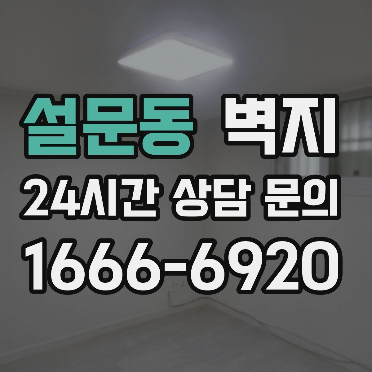 설문동 벽지